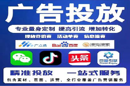 SEO与百度推广结合的营销策略——经典案例解析